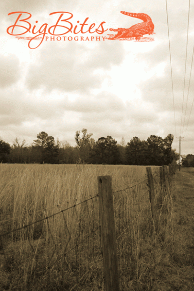 fence-2