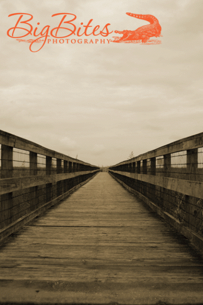 the-prairie-3