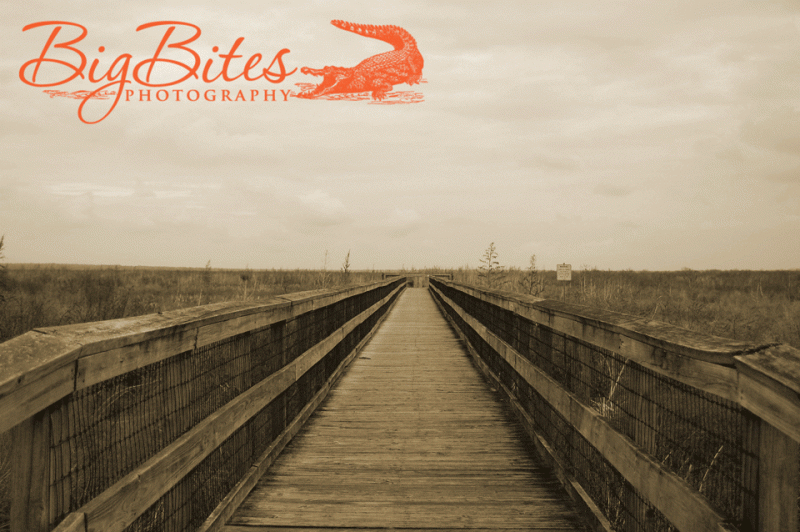 the-prairie-sepia
