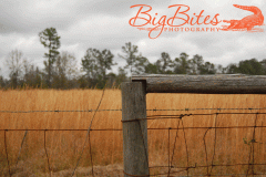Fence-1