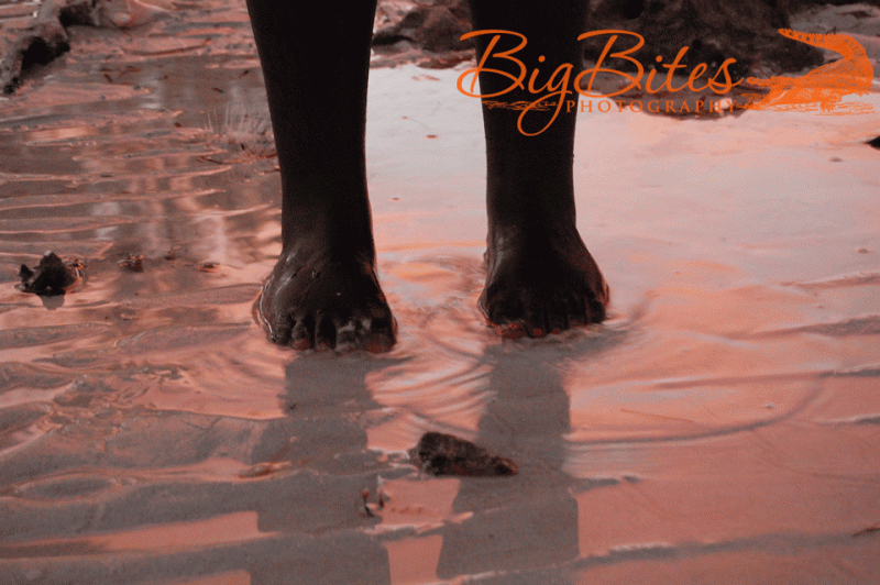 BJ-Feet