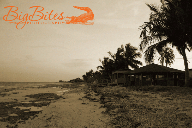 Beach-Shacks