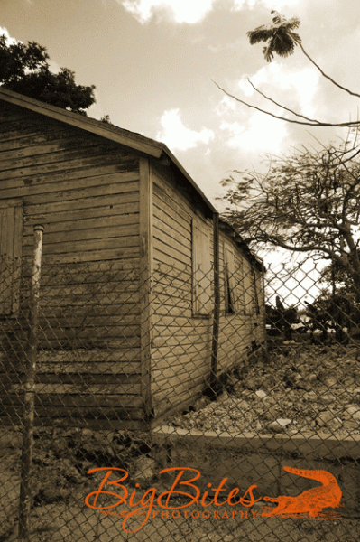 House-1