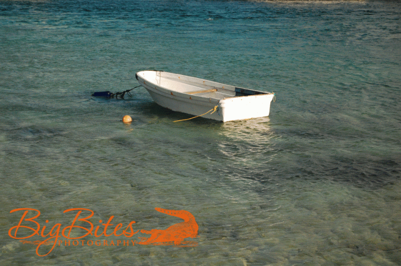 Lone-Boat-1
