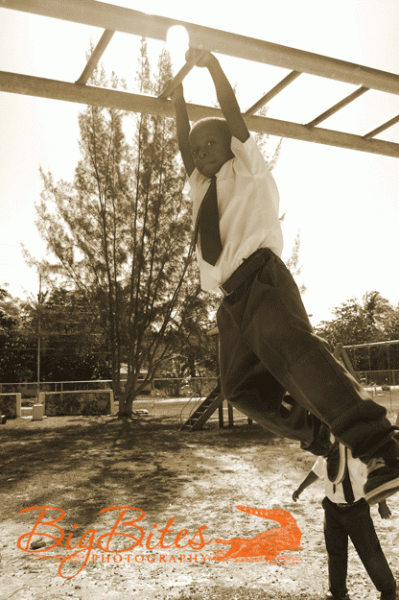 Monkey-Bars-2