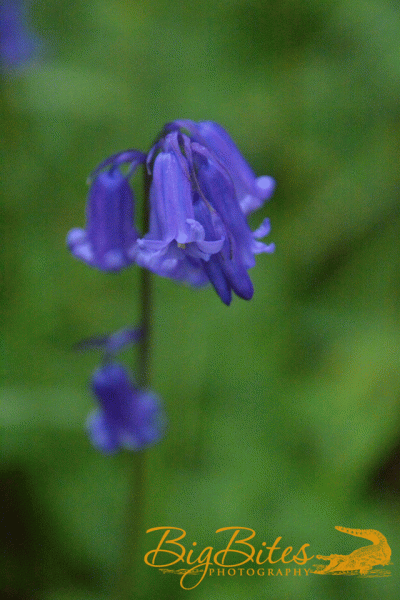 DSC_3405