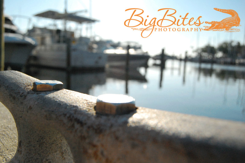 Boats-in-Back-color-Big-Bites-Photography