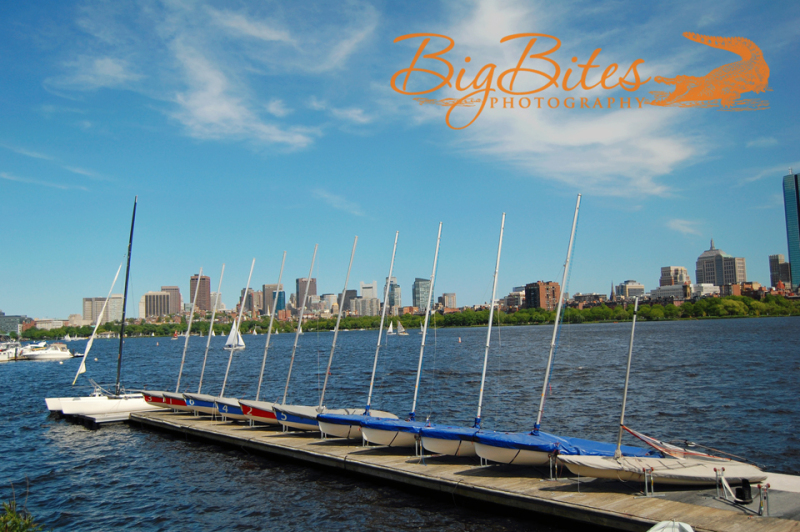 Boston-Boats-color