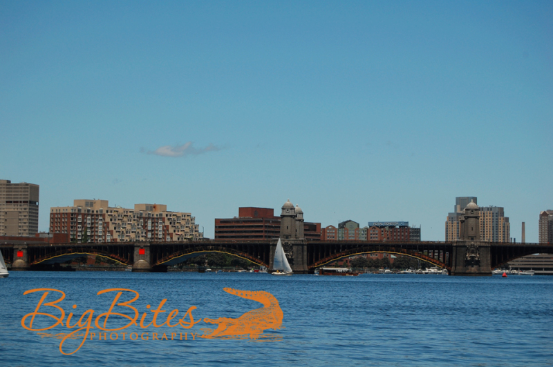Boston-color