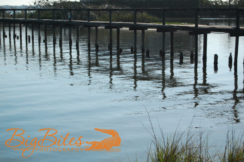 Dock-Reflection