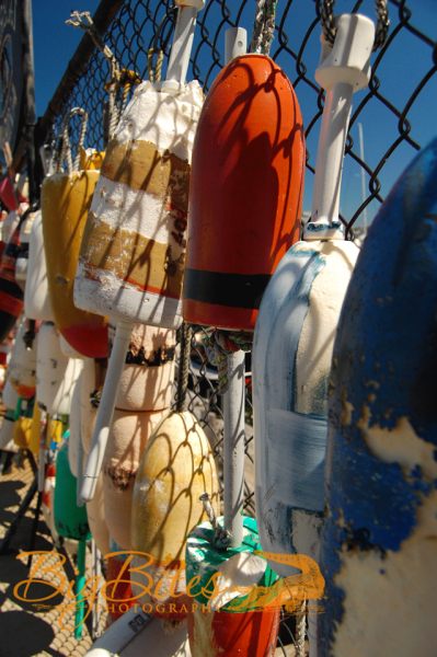hang-up-Boston-Boat-buoys-Big-Bites-Photography