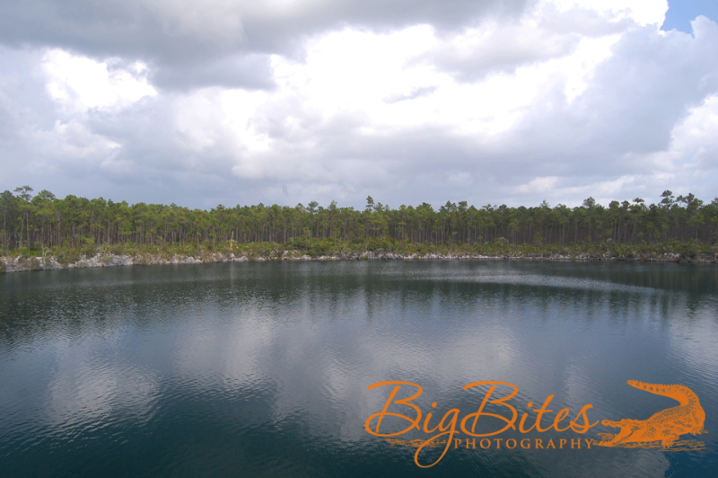 blue-hole-color-Bahamas-Big-Bites-Photography
