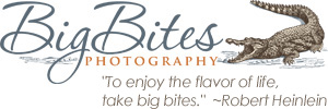 Big Bites Photography